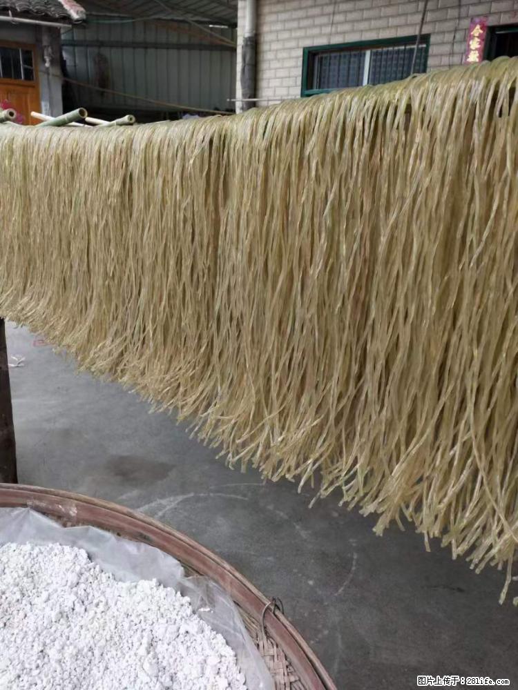【灌阳正宗红薯粉】美女家里自己做的,干净卫生,假一赔十,价格合理,抢购电话:13737312895 - 美食天地 - 桂林生活社区 - 桂林28生活网 www.28life.com