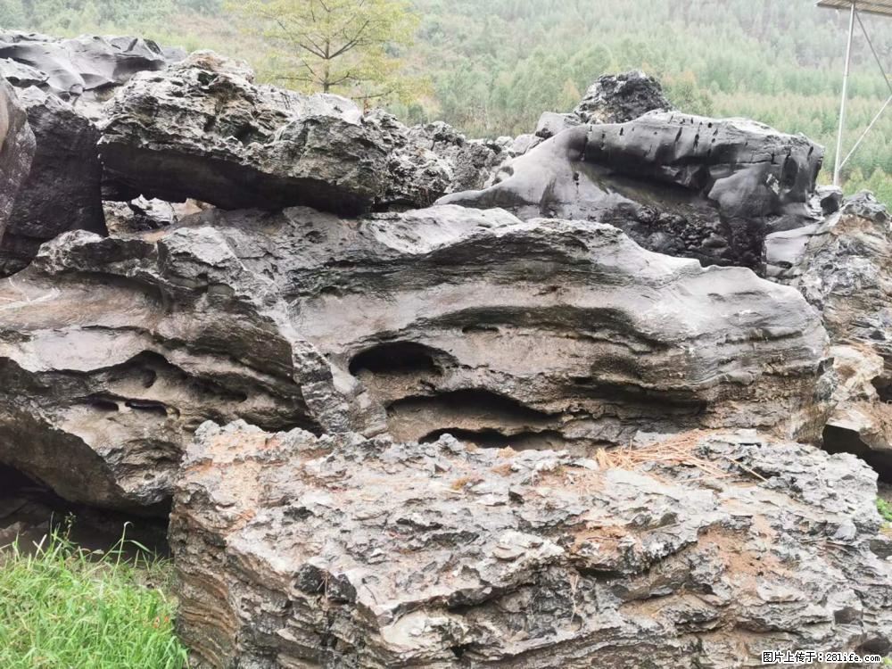 风景石、假山石大量有货,有需要的欢迎联系 - 新手上路 - 桂林生活社区 - 桂林28生活网 www.28life.com