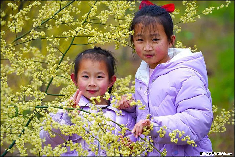 【春天，广西桂林灌阳县向您发出邀请！】米珠山前有片山苍子花在飘香 - 游山玩水 - 桂林生活社区 - 桂林28生活网 www.28life.com