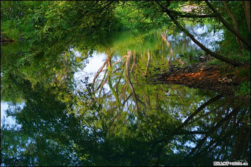 【春天,广西桂林灌阳县向您发出邀请!】熊家寨湿地公园 - 游山玩水 - 桂林生活社区 - 桂林28生活网 www.28life.com