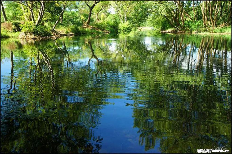 【春天,广西桂林灌阳县向您发出邀请!】熊家寨湿地公园 - 游山玩水 - 桂林生活社区 - 桂林28生活网 www.28life.com
