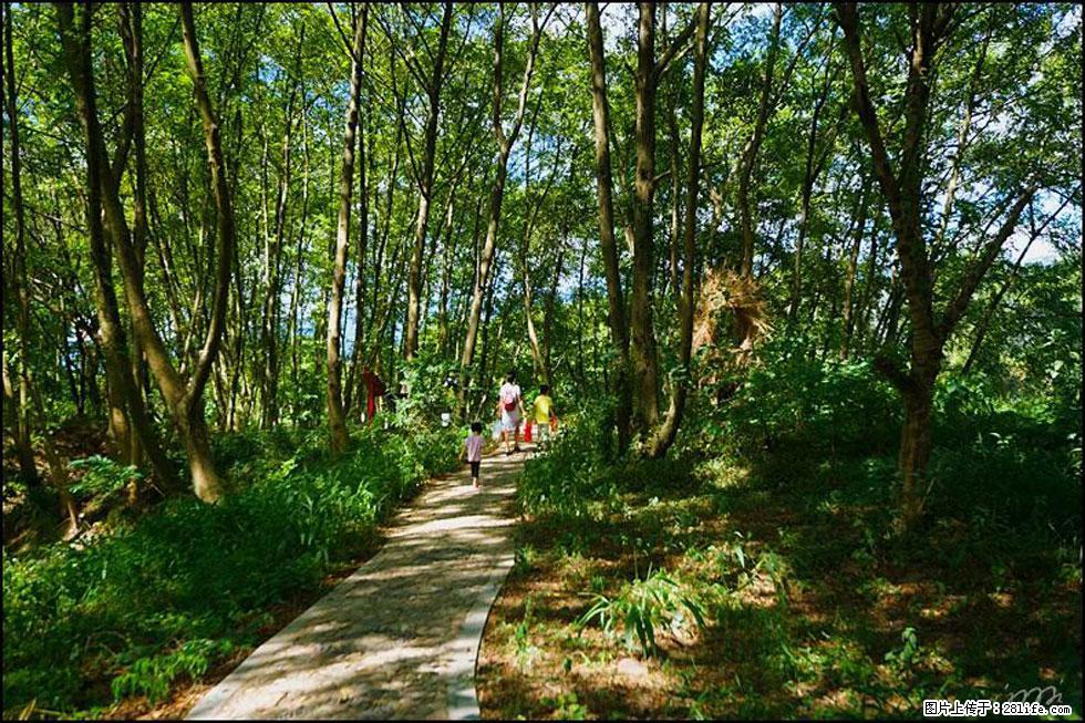 【春天,广西桂林灌阳县向您发出邀请!】熊家寨湿地公园 - 游山玩水 - 桂林生活社区 - 桂林28生活网 www.28life.com
