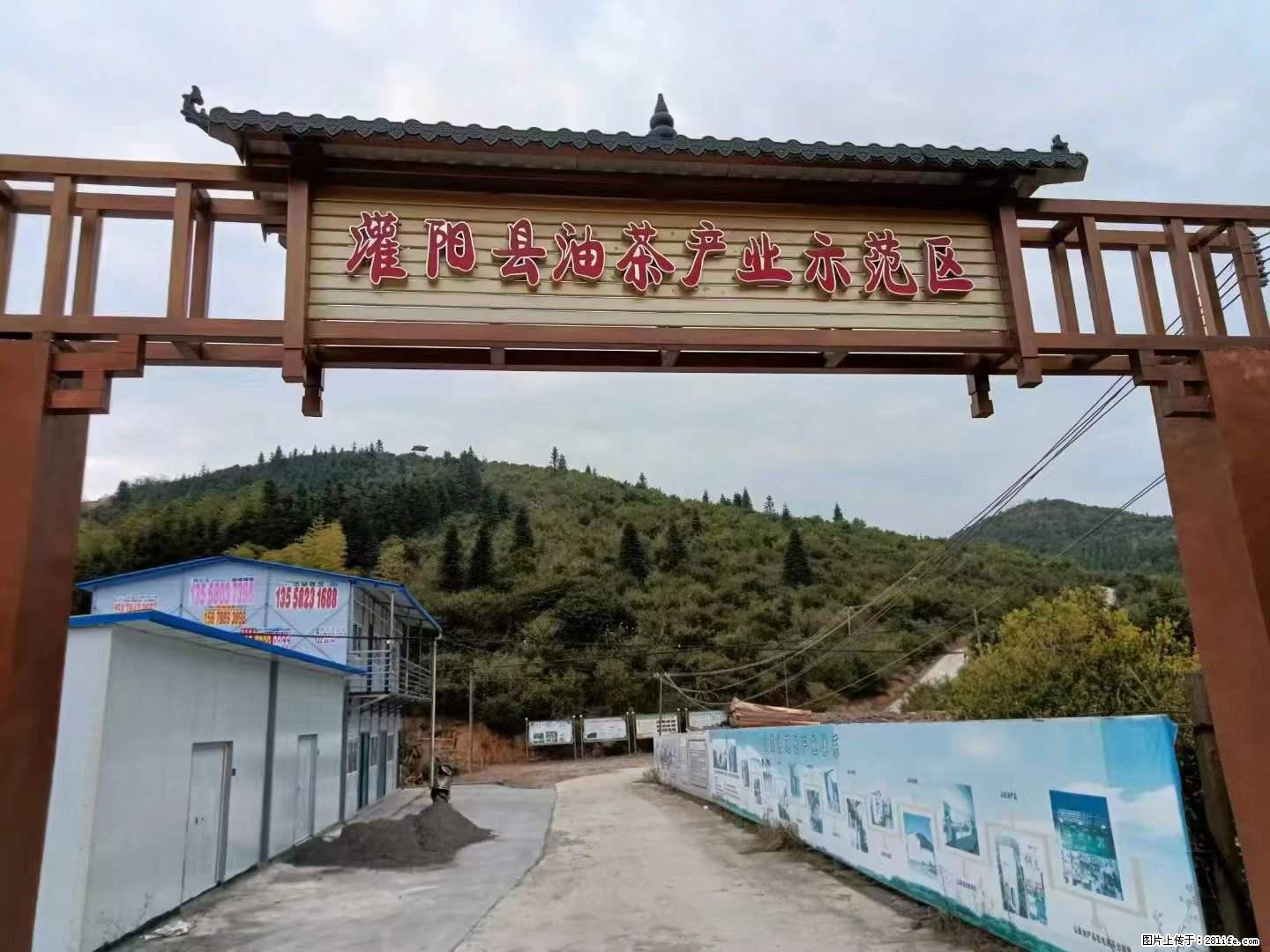 【灌阳县油茶产业示范区】一个有着充实的精神生活的人,对待身外之物自会有一种淡泊的态度 - 美食天地 - 桂林生活社区 - 桂林28生活网 www.28life.com
