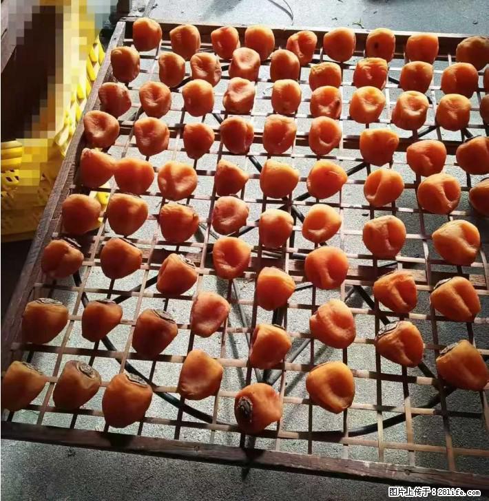 广西桂林平乐桥亭【柿饼之乡】2025年纯手工制作、无任何添加剂的第一批柿饼准备上市了，欢迎联系订购！ - 美食天地 - 桂林生活社区 - 桂林28生活网 www.28life.com
