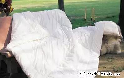 被子有异味？只要这样做，比晒太阳还强100倍！ - 家居生活 - 桂林生活社区 - 桂林28生活网 www.28life.com