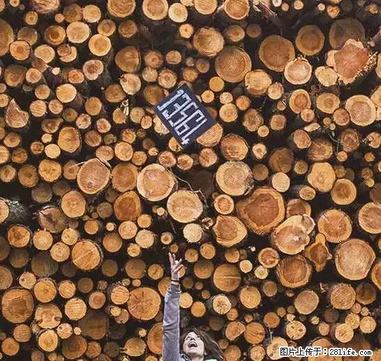 辞掉工作周游世界?现在他们在洗厕所…… - 游山玩水 - 桂林生活社区 - 桂林28生活网 www.28life.com