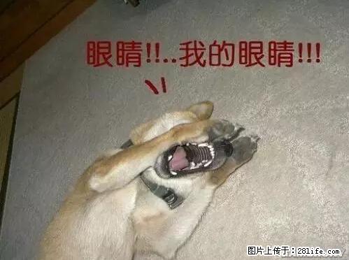 笑癫了!一女的怀孕三年未生,他终于忍不住了... - 娱乐八卦 - 桂林生活社区 - 桂林28生活网 www.28life.com