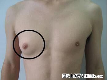 原来海带不能乱吃…现在知道还不晚哦! - 生活百科 - 桂林生活社区 - 桂林28生活网 www.28life.com