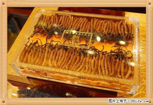 桂林回收真龍香烟;回收大重九香烟;回收冬虫夏草香烟 - 保健品 - 饮食特产 - 桂林分类信息 - 桂林28生活网 www.28life.com
