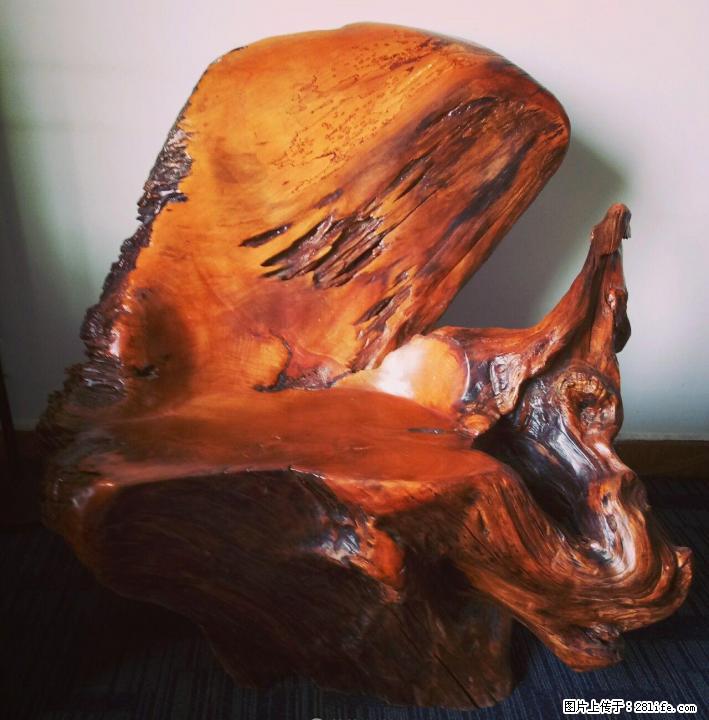 孤品多年榉木老树根靠椅 - 其它 - 古玩收藏 - 桂林分类信息 - 桂林28生活网 www.28life.com