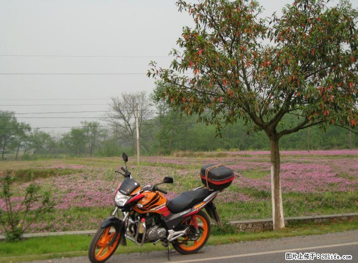 五羊本田新锋翼1258转让 - 摩托车 - 摩电单车 - 桂林分类信息 - 桂林28生活网 www.28life.com