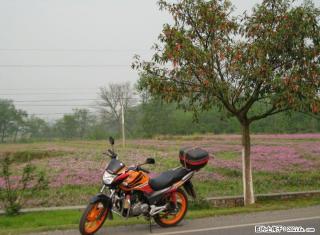 五羊本田新锋翼1258转让 - 桂林28生活网 www.28life.com