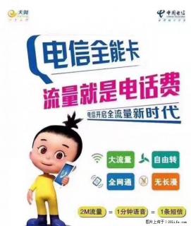 20元月租包 1G流量 - 桂林28生活网 www.28life.com