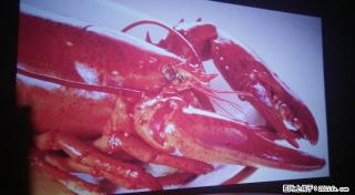 送的全新投影机瑞格尔1280X800分辨率出750元 - 桂林28生活网 www.28life.com