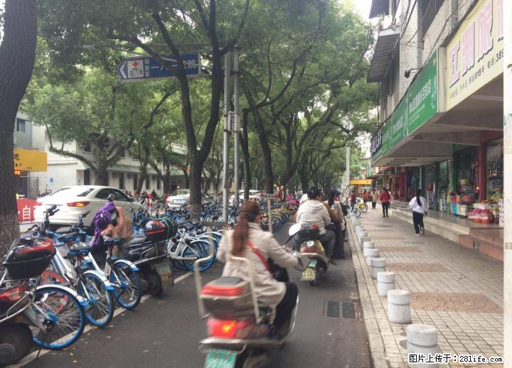 Z民主路【当街门面】33?3300元/月 人流旺 租金稳定105万 - 商铺租转 - 房屋租售 - 桂林分类信息 - 桂林28生活网 www.28life.com