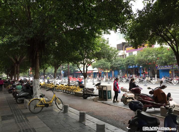 Z西凤路 信义菜市对面 临街商铺 84平 7字开口 172万 - 商铺租转 - 房屋租售 - 桂林分类信息 - 桂林28生活网 www.28life.com