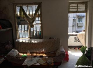 Z宁远路【虹桥小区】1房1厅51?简装32万 民主小学 - 桂林28生活网 www.28life.com