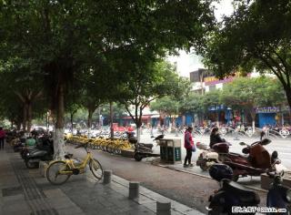 Z西凤路 信义菜市对面 临街商铺 84平 7字开口 172万 - 桂林28生活网 www.28life.com