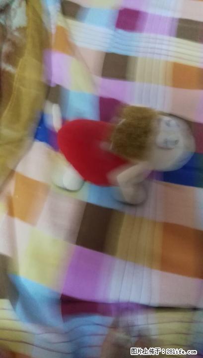 出??抱枕，??微信同?13367831104 - 其它 - 居家生活 - 桂林分类信息 - 桂林28生活网 www.28life.com