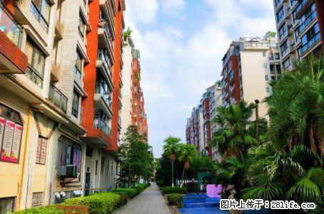 新天地1期，1房1厅 急售53万！！！2007年建，59平米，精装修6楼，家电齐全 房型方正 - 房屋出售 - 房屋租售 - 桂林分类信息 - 桂林28生活网 www.28life.com