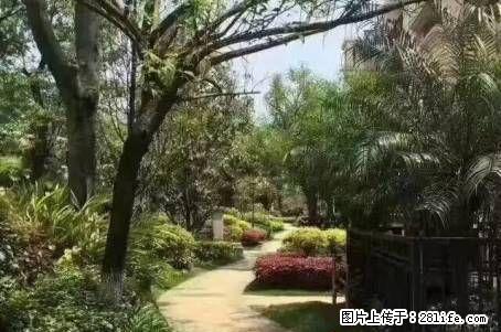 七星花园园中苑，4房2厅2卫，电梯6楼，188平米，129万送车库，精装修 - 房屋出售 - 房屋租售 - 桂林分类信息 - 桂林28生活网 www.28life.com