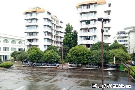 育才本部海关宿舍;3房2厅2卫,110平米,7楼顶送天面,精装修,1998年建,急售70万 - 房屋出售 - 房屋租售 - 桂林分类信息 - 桂林28生活网 www.28life.com