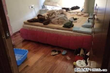 龙隐学区公园绿涛湾;3房2厅2卫,产权85平米,使用面积120平米,5楼顶送阁楼 - 房屋出售 - 房屋租售 - 桂林分类信息 - 桂林28生活网 www.28life.com