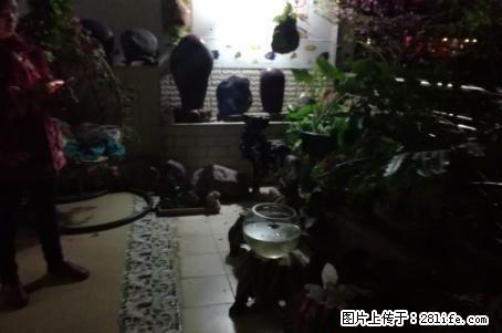 龙隐学区家乐城楼上；3房2厅2卫，147平米，另加60平米超大独用露台，精装修 - 房屋出售 - 房屋租售 - 桂林分类信息 - 桂林28生活网 www.28life.com