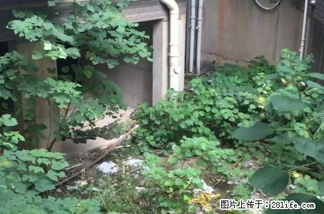 兴进上郡；4房2厅2卫，130平米，1楼带前后超大花园 ，清水房，急售135万，一梯两户 - 房屋出售 - 房屋租售 - 桂林分类信息 - 桂林28生活网 www.28life.com