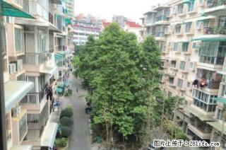 育才本部大圆盘东方花园！！2室2厅1卫，76平米，精装4楼，带固定车位，急售65万 - 桂林28生活网 www.28life.com