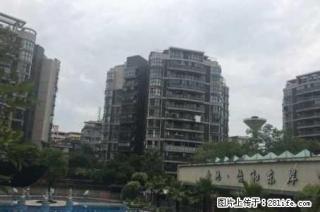 金地怡和东岸， 4室2厅2卫，142平米，清水房，2012年建，电梯8楼，急售130万送车位！ - 桂林28生活网 www.28life.com