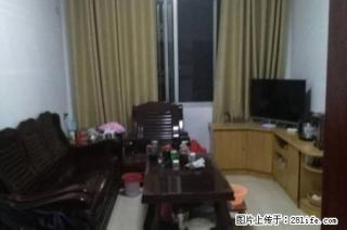 石油六公司B区，2室1厅1卫，4楼，63平方，精装修，急售42万 - 桂林28生活网 www.28life.com