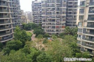 怡和东岸；4房2厅2厅，180平米，6楼，清水房，2012年建，急售120万 - 桂林28生活网 www.28life.com