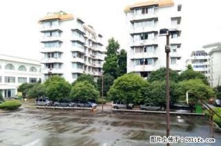育才本部海关宿舍;3房2厅2卫,110平米,7楼顶送天面,精装修,1998年建,急售70万 - 桂林28生活网 www.28life.com