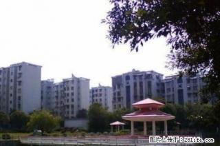 七星花园紫竹苑;3房2厅2卫,150平米,6楼,精装修,2000年建,急售75万 - 桂林28生活网 www.28life.com