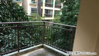 世纪新城；3房2厅2卫，172平米，6楼，精装修，一梯两户南北通透，2007年建，急售118万 - 桂林28生活网 www.28life.com