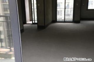 兴进上誉；3房2厅2卫，108平米，电梯5楼，清水房，2015年建，急售75万 - 桂林28生活网 www.28life.com