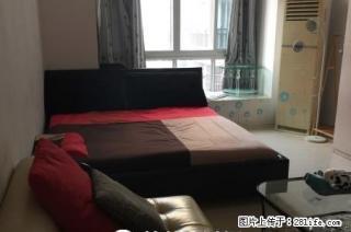 三里店 中软现代城 1房1厅 50平米，精装修，电梯5楼，急售38万 - 桂林28生活网 www.28life.com