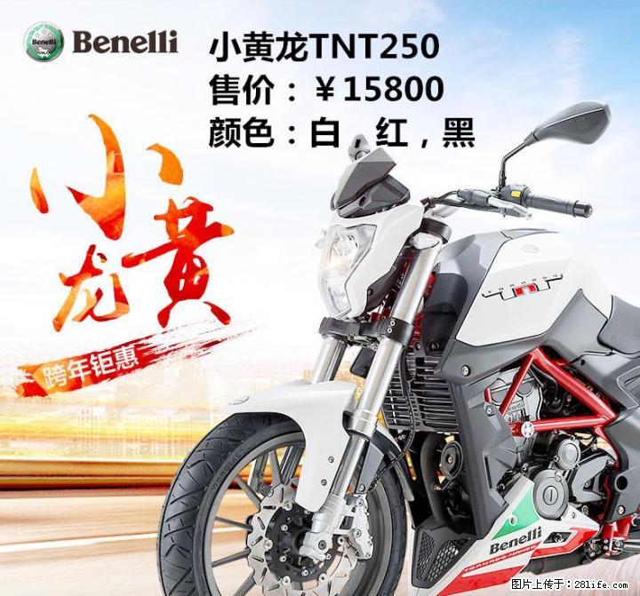 Benelli贝纳利-桂林总代理-小黄龙250CC-TEL:13377321813(同微信号) - 摩托车 - 摩电单车 - 桂林分类信息 - 桂林28生活网 www.28life.com