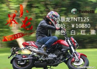 Benelli贝纳利-桂林总代理-小暴龙TNT125-TEL:13377321813(同微信号) - 桂林28生活网 www.28life.com