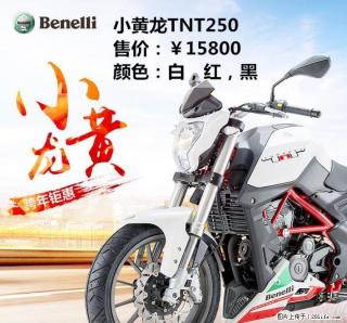 Benelli贝纳利-桂林总代理-小黄龙250CC-TEL:13377321813（同微信号） - 桂林28生活网 www.28life.com