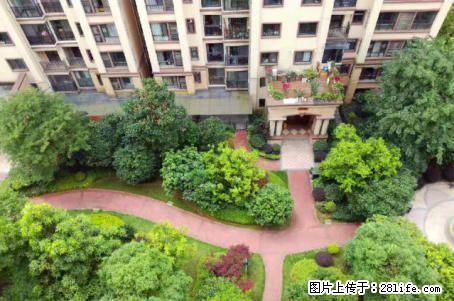 出售，育才分校兴进上郡，4房2厅2卫，146平米，电梯11楼，130万，清水房，可按自己喜 - 房屋出售 - 房屋租售 - 桂林分类信息 - 桂林28生活网 www.28life.com