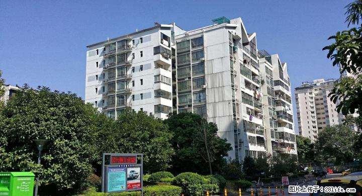 龙隐学区鑫海国际4房2厅2卫 160平米   毛坯房出售   135万送车位 - 房屋出售 - 房屋租售 - 桂林分类信息 - 桂林28生活网 www.28life.com