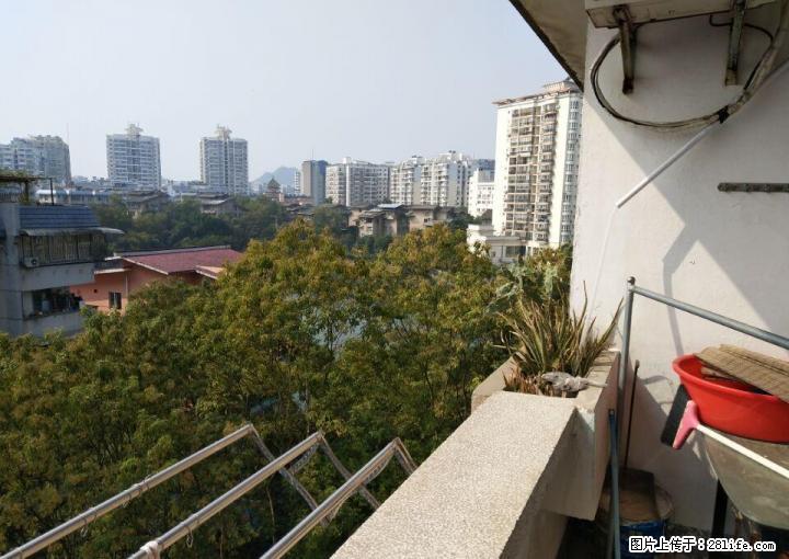 急售!育才本部学区 育才小学旁旁 青旅宿舍 精装2房 40万 - 房屋出售 - 房屋租售 - 桂林分类信息 - 桂林28生活网 www.28life.com