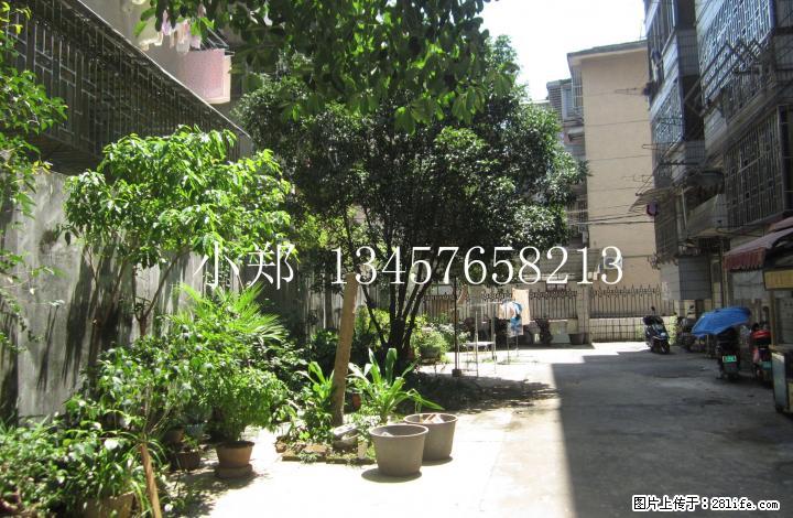 超值中华小学伏和巷88平米精装2房2厅85万 - 房屋出售 - 房屋租售 - 桂林分类信息 - 桂林28生活网 www.28life.com
