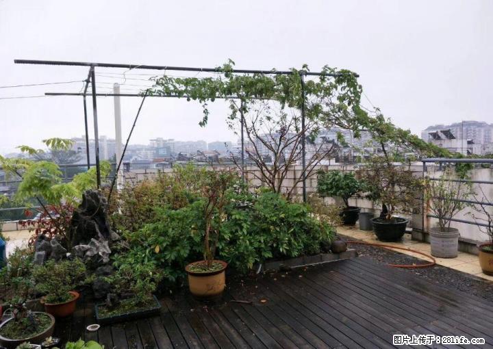 龙隐小学绿海星城旁 辅星苑精装4房独用天面180平98万 - 房屋出售 - 房屋租售 - 桂林分类信息 - 桂林28生活网 www.28life.com