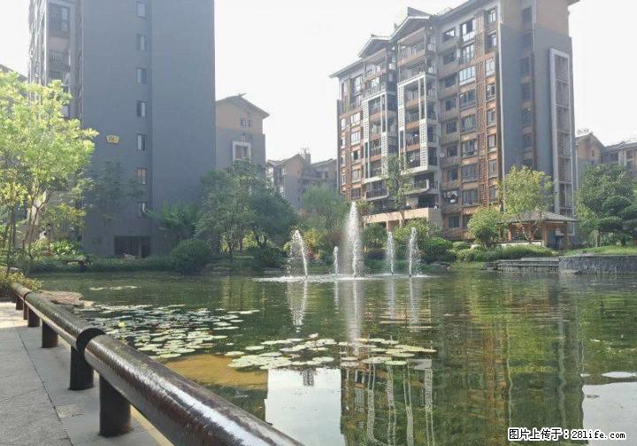 新出靓房 万达旁春天二期艺墅 高档复式 超大面积 仅150万 - 房屋出售 - 房屋租售 - 桂林分类信息 - 桂林28生活网 www.28life.com