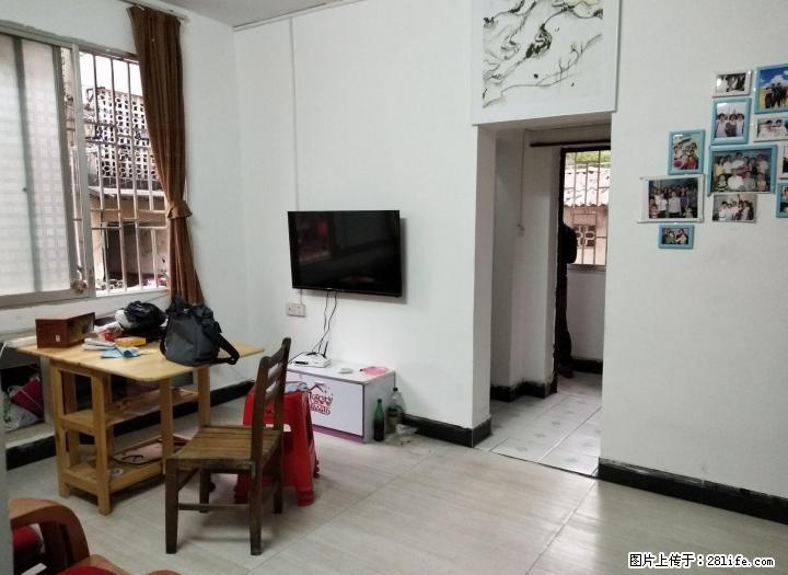 育才本部！五医院宿舍 挑高一楼 2房1厅双阳台 送杂间 39万秒杀房！ - 房屋出售 - 房屋租售 - 桂林分类信息 - 桂林28生活网 www.28life.com