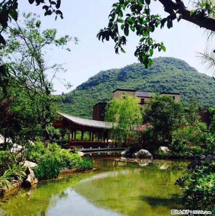 东方庭院东景园 现代中式园林 独栋别墅 1000平方超大花园 - 房屋出售 - 房屋租售 - 桂林分类信息 - 桂林28生活网 www.28life.com