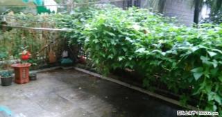 甲天下广场旁【恒祥花园】2房 养生一楼 带30?私家花园 73万纯 - 桂林28生活网 www.28life.com